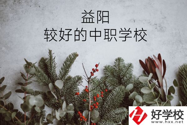 益陽(yáng)有哪些中職學(xué)校比較好？