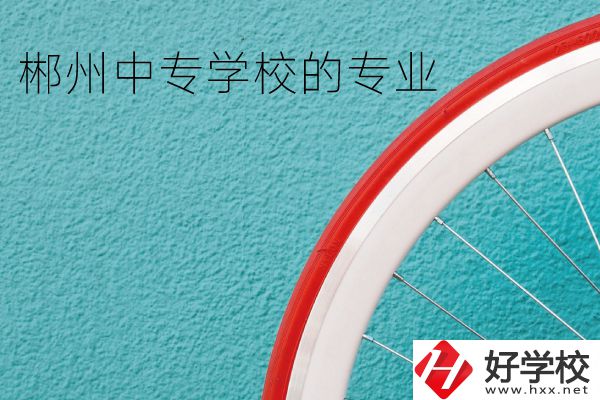郴州中專(zhuān)學(xué)校有什么專(zhuān)業(yè)？