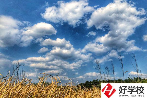 衡陽市瀟湘衛(wèi)生中等專業(yè)學校有哪些特色專業(yè)？