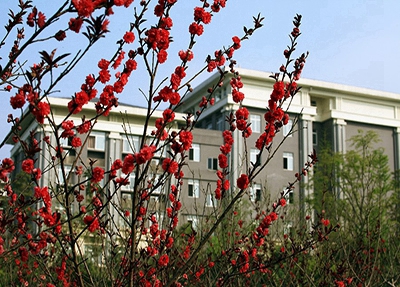 浙江美發(fā)與形象設(shè)計(風(fēng)剪云班)專業(yè)學(xué)校招生