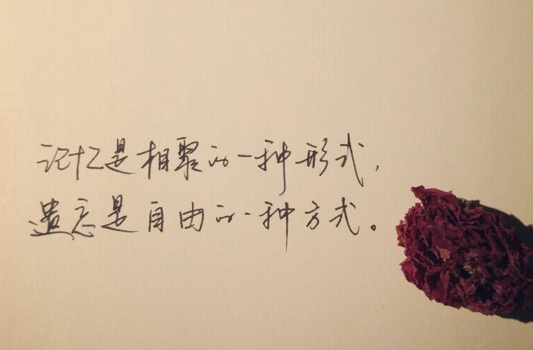 2025莆田衛(wèi)生學(xué)校開(kāi)設(shè)的專(zhuān)業(yè)一覽表