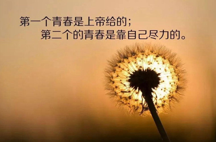 山西衛(wèi)生健康職業(yè)學院五年制大專2025年招生計劃