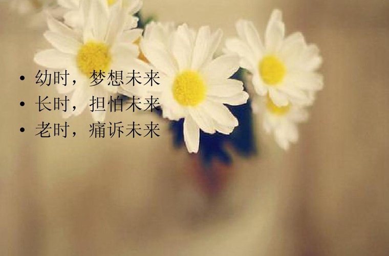 2020年貴州自考農(nóng)業(yè)經(jīng)濟管理(?？?專業(yè)計劃
