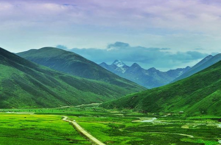 山西衛(wèi)生健康職業(yè)學(xué)院五年制大專(zhuān)2025年招生計(jì)劃