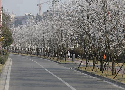 石阡商業(yè)職校2025年報名條件是什么