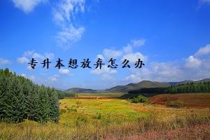 專(zhuān)升本想放棄怎么辦