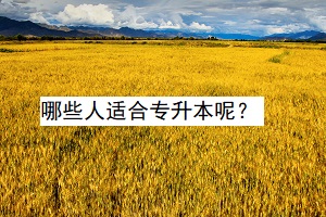哪些人適合專升本呢？