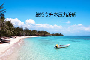 統(tǒng)招專升本