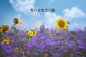 專(zhuān)升本
