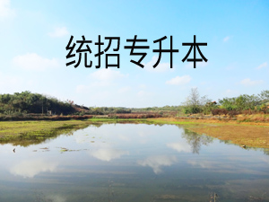 專(zhuān)升本
