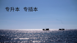專(zhuān)升本