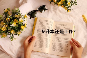 專升本還是工作？