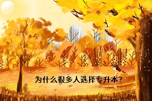 為什么很多人選擇專(zhuān)升本？