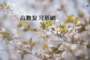 高數(shù)復習基礎