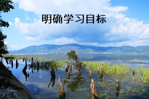 明確學(xué)習(xí)目標(biāo)