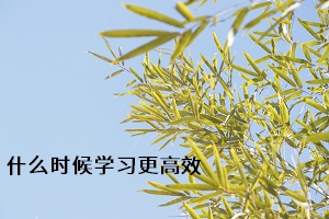 什么時候?qū)W習更高效