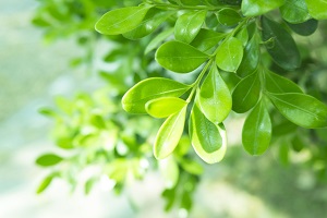 學(xué)會舉一反三