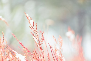 專(zhuān)注地投入