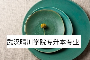 武漢晴川學院專升本專業(yè)