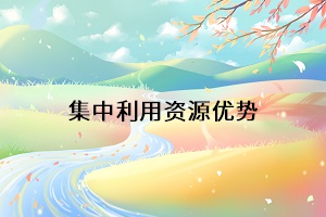 集中利用資源優(yōu)勢