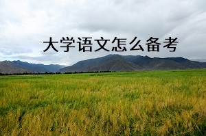 大學語文怎么備考