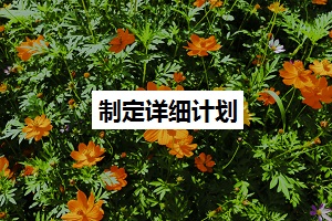 制定詳細計劃