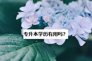 為什么那么多學(xué)長(zhǎng)學(xué)姐勸你去考普通專升本？這些問題要想清楚