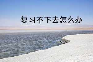 復(fù)習(xí)不下去怎么辦