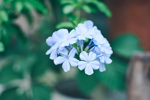 擴招后報考人數(shù)是否會激增？
