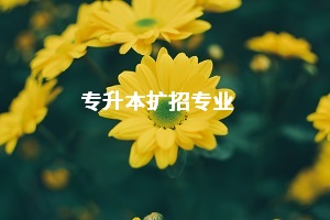 今年普通專升本擴(kuò)招專業(yè)有哪些？預(yù)計(jì)哪些專業(yè)將成熱門專業(yè)？
