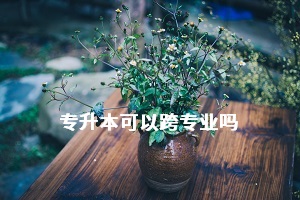 湖北省專升本報考時可以跨專業(yè)嗎？有什么報考限制嗎？