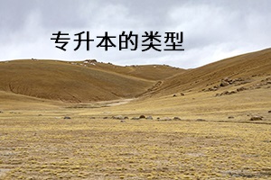 專(zhuān)升本的類(lèi)型