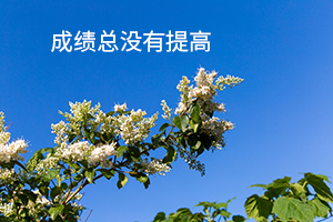成績(jī)總沒(méi)有提高