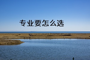 專業(yè)要怎么選