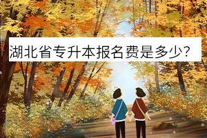湖北省專升本報名費是多少