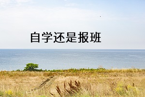 自學(xué)還是報班