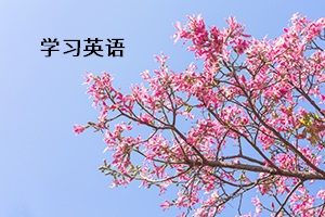 學習英語