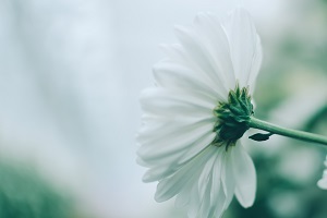 全日制專升本的高等數(shù)學怎么復習？