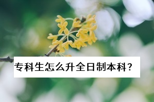 ?？粕趺瓷罩票究?？已經畢業(yè)了，還能報考普通專升本考試嗎？