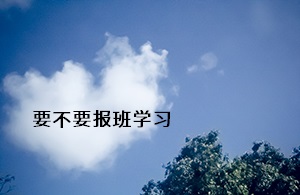 要不要報班學習
