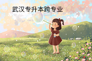 武漢專升本跨專業(yè)