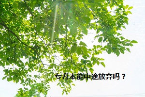 專升本能中途放棄嗎？