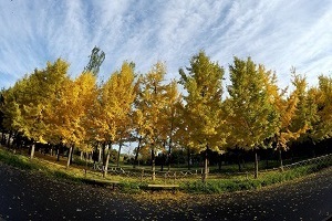大專第三年才開始準(zhǔn)備普通專升本考試來得及嗎？該如何備考？