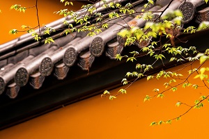 普通專升本備考的第一步是先擇校還是先選專業(yè)？