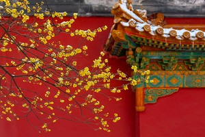全日制普通專升本和本科有區(qū)別嗎？哪些地方是不同的？