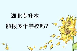 湖北專升本能報(bào)多個(gè)學(xué)習(xí)嗎？