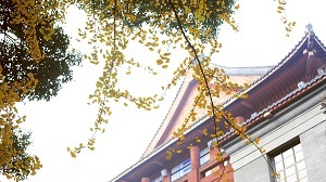 查詢(xún)方式