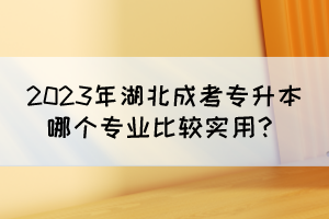2023年湖北成考專升本哪個專業(yè)比較實用？
