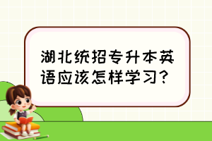 湖北統(tǒng)招專升本英語(yǔ)應(yīng)該怎樣學(xué)習(xí)？